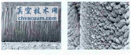 EB-PVDͿ����״���ṹ