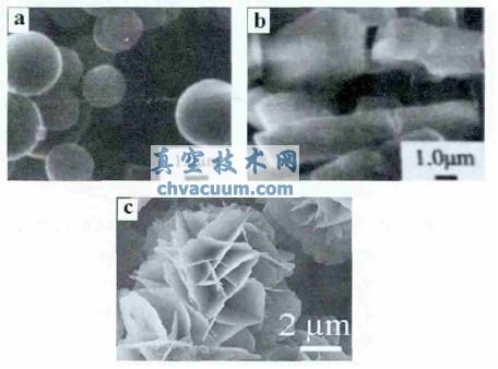 ���������������װ������׻���SEM ��Ƭ