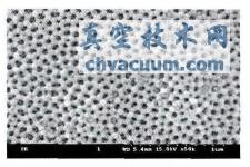 ���������ɨ�������΢��ͼ