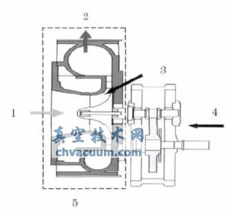 离心真空泵的结构简图
