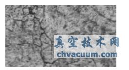 ������֯ͼ