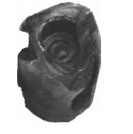 ���˶�����