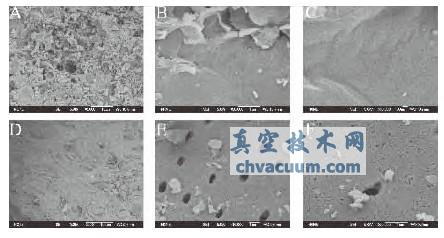 A-C����ǰ��D-F������Ļ���̿��ɨ�������΢��ͼ