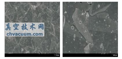 金刚石膜的扫描电镜照片
