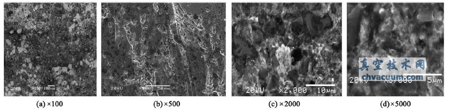 �Ͻ����Ĳ�ͬ�Ŵ���SEM��òͼ