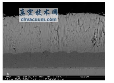 408+TBC 沉积态的SEM截面图