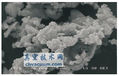 ��ϸ���ٷ۵�ɨ�������΢����Ƭ