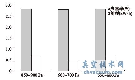 不同真空室压力下卷心菜的失重率和能耗
