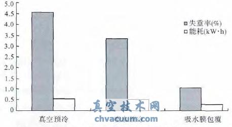 不同处理方式卷心菜真空预冷的失重率和能耗