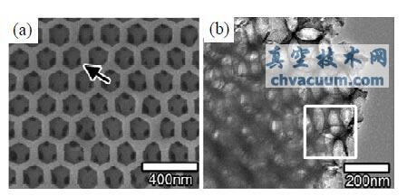 ԭλ�������Ʊ��뵼��/ʯīϩ���Ϲ�߻���