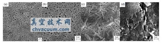 TiO2���װ�/GO��TiO2���׿���/GO��߻����󳦸˾�