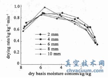 不同南瓜片厚度下南瓜片的微波真空干燥速率曲线