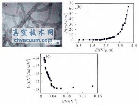 阳极氧化铝模板上生长的碳纳米管透射电子显微照片