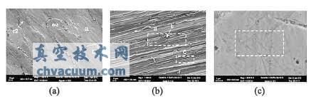 不同打磨工艺处理过的阀门基体表面微观形貌