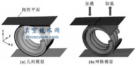 C 形环有限元模型