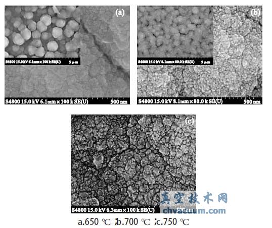 不同温度下金刚石膜SEM 图