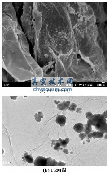 ��΢��Cu /����ʯīϩ����΢����FE-SEMͼ��TEMͼ