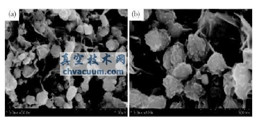 Fe3O4/石墨烯纳米微球的场发射扫描电镜照片