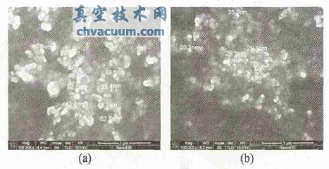 纳米粒子Co的SEM 图像
